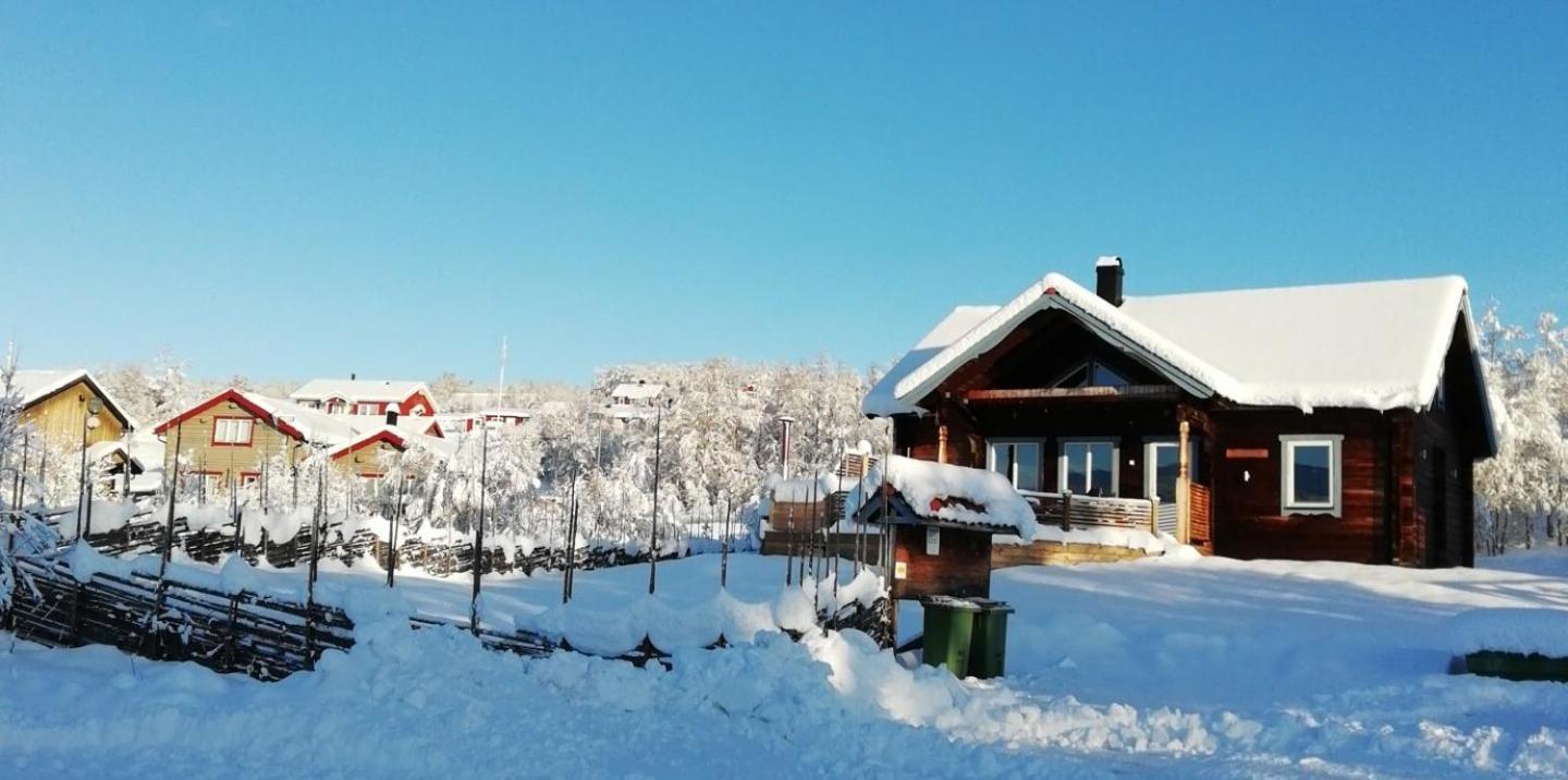 Cabin In Bruksvallarna Экстерьер фото